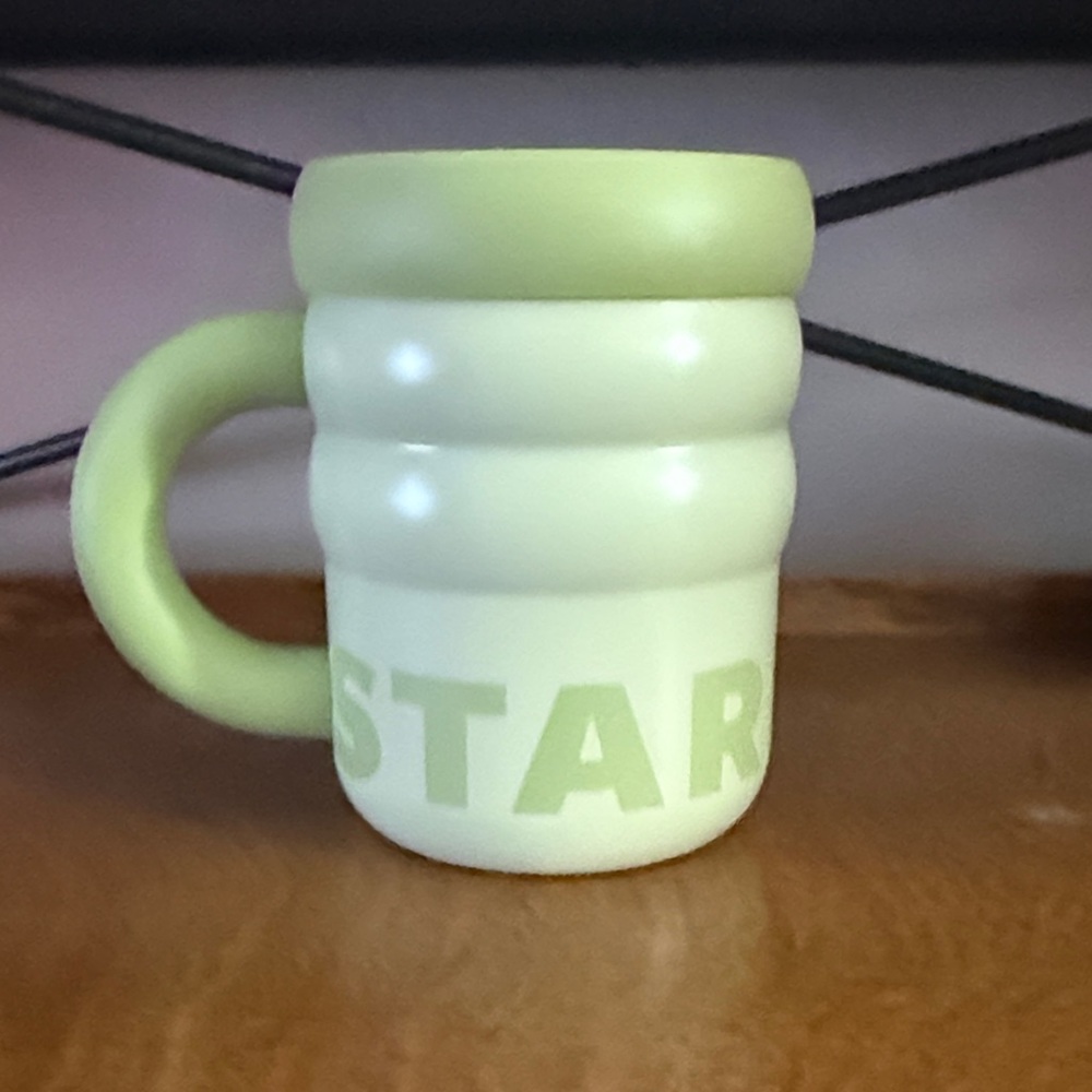 NWT Starbucks Spring 2026 Collection Stainless Steel Light Green Mug